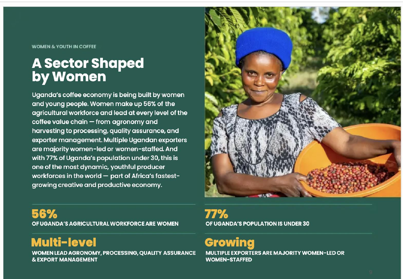 Why Youth in Coffee? visual