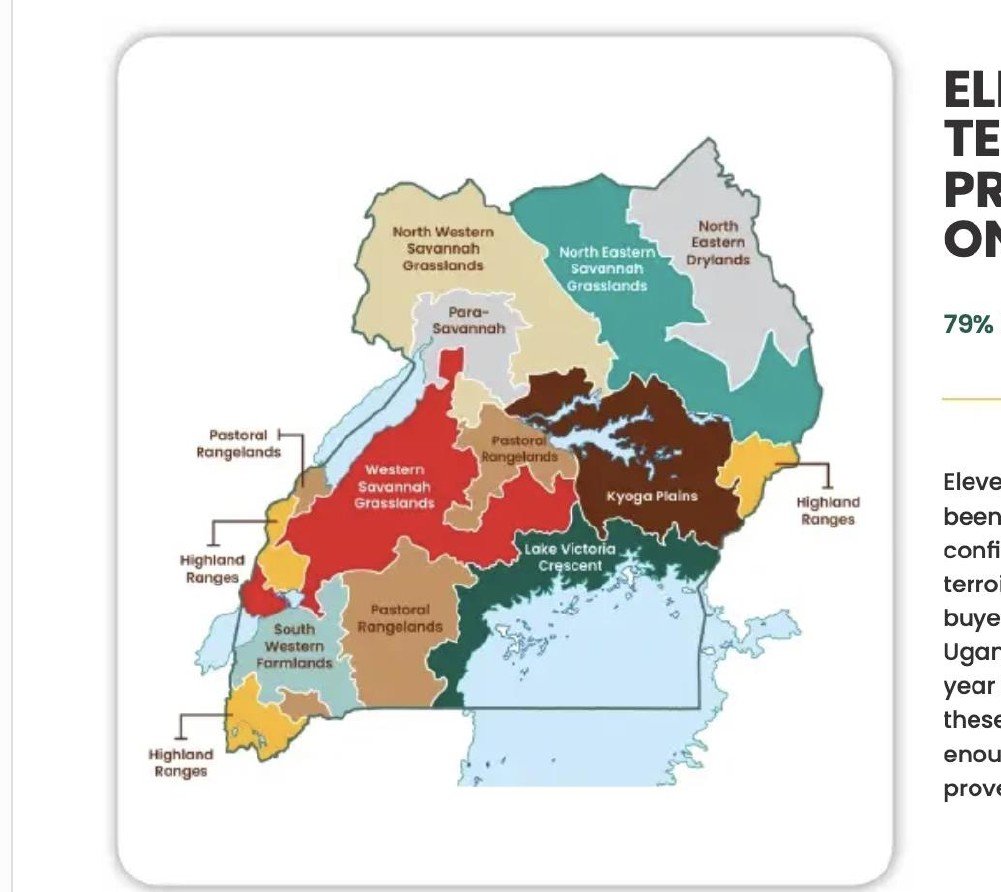 Uganda coffee regions map
